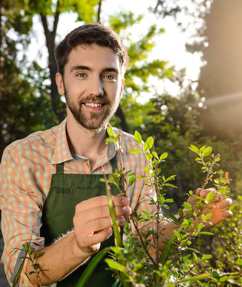 services-single-img03