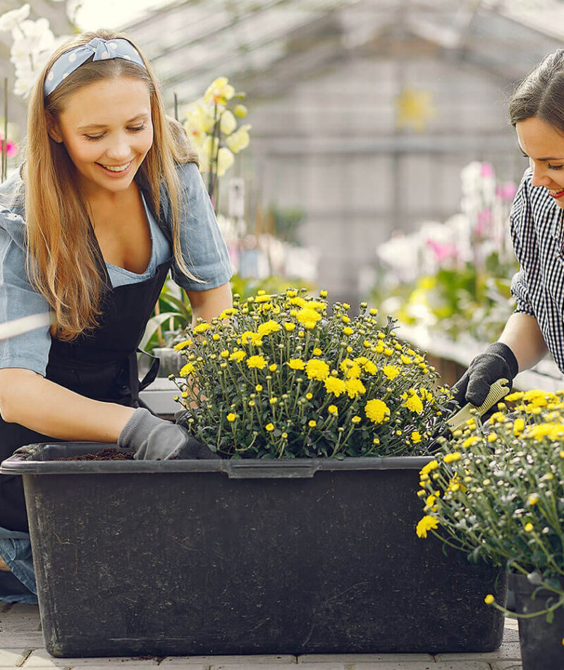 services-single-img06