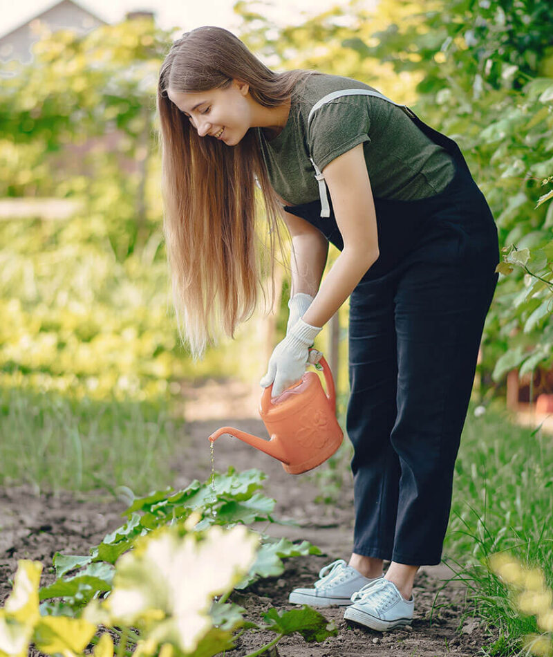 services-single-img07