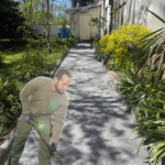 Neuer Glanz für Gartenweg und Terrasse in Dresden