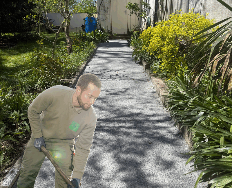 Neuer Glanz für Gartenweg und Terrasse in Dresden