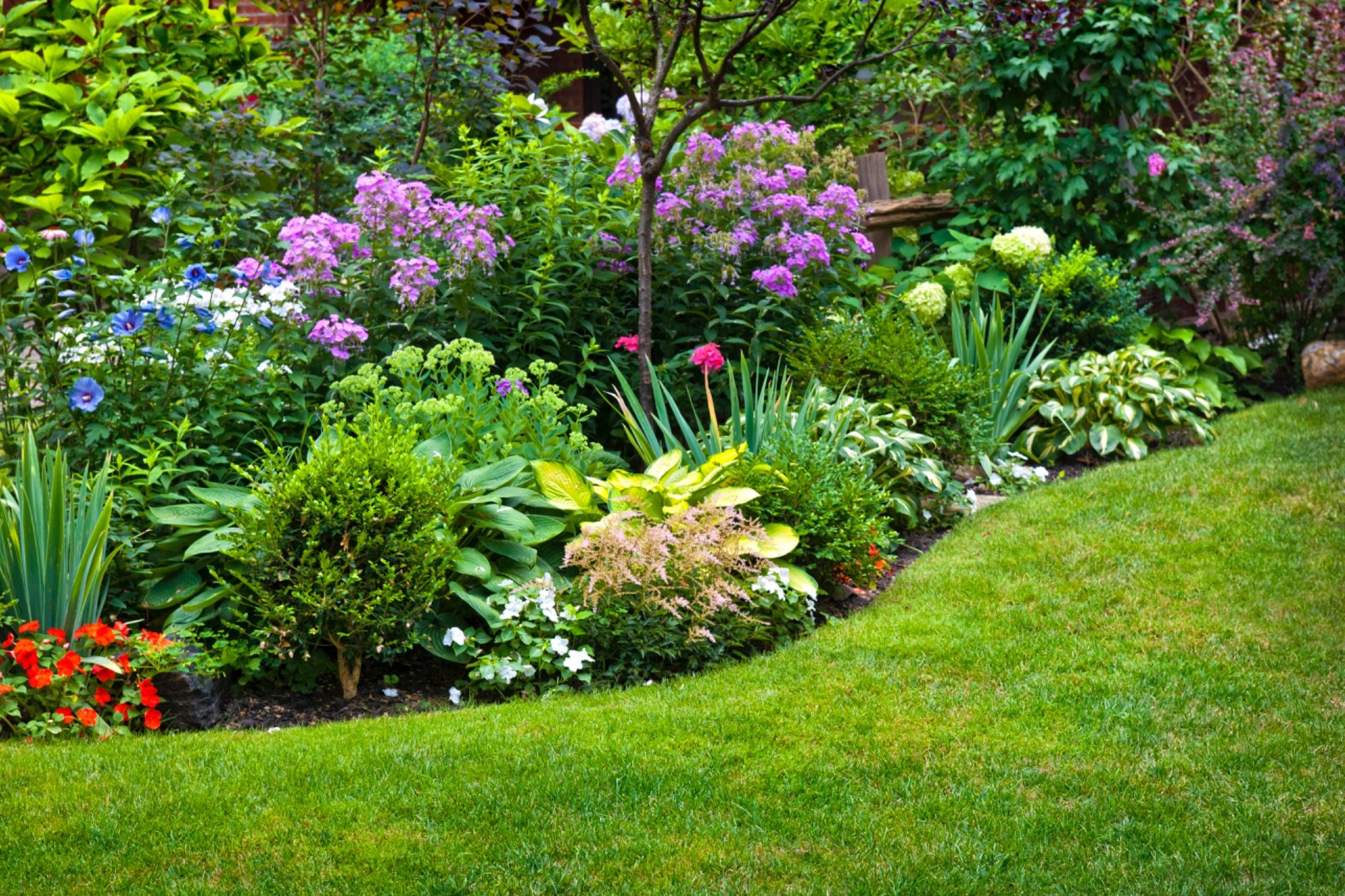 Bunter Garten mit verschiedenen Blumen und grünen Pflanzen, umgeben von Rasen.